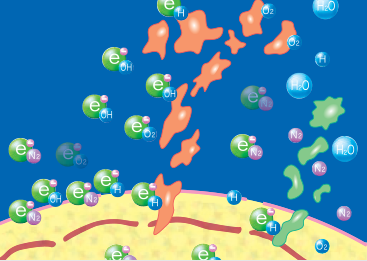 atoms, oxygen atoms, and water molecules